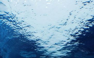 看见的读后感精选7篇