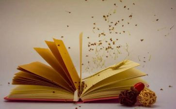 课外调查报告6篇