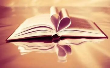 课外调查报告最新8篇