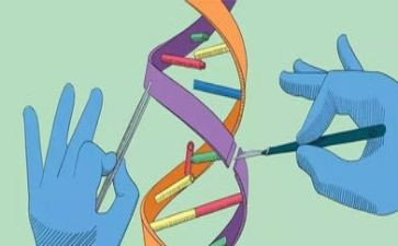 科学与技术的心得体会6篇