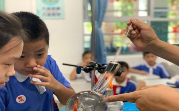 幼儿园大班科学课磁铁教案5篇