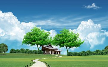 空气污染的调查报告5篇
