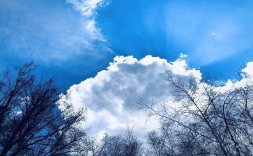 大班空气的教案优秀5篇