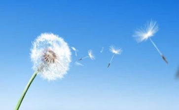 空气棒活动教案优质7篇