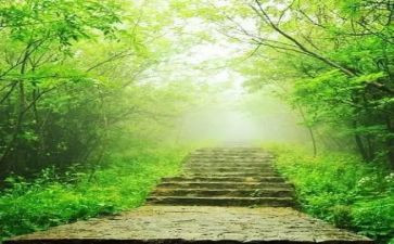 我的苦与乐600字作文优秀6篇