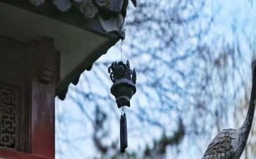 网课的苦与乐作文7篇