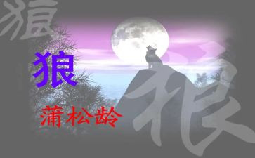 《狼》的读后感500字模板8篇