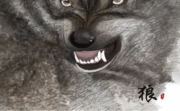 《狼》的读后感300字7篇