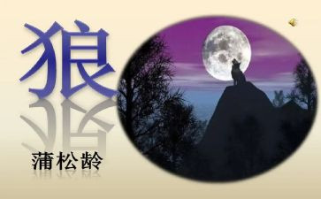 《狼》的读后感500字最新7篇
