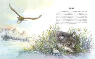写《狼王梦》的读后感推荐8篇