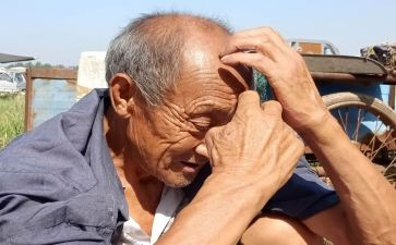 关爱老人社会实践调查报告7篇