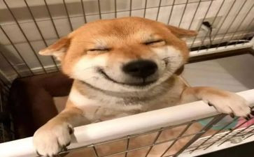 我成长我快乐800字作文8篇