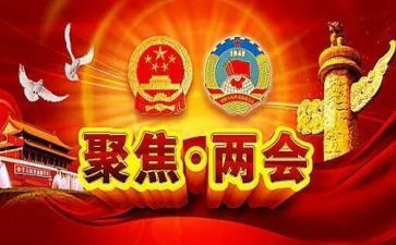 村两会心得体会7篇