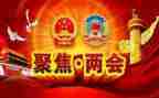 村两会心得体会7篇