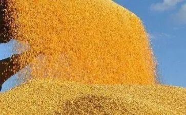 粮食安全发言稿范文7篇