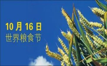 粮食节约心得7篇
