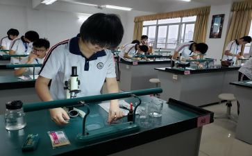 理化教研组工作计划8篇