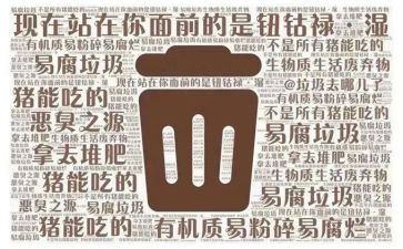 垃圾分类干垃圾湿垃圾教案参考6篇