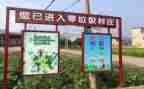 垃圾分类的活动策划7篇