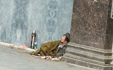 流浪狗心得体会6篇