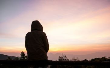 读流浪狗和流浪猫读后感6篇