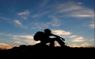 救流浪狗作文最新5篇