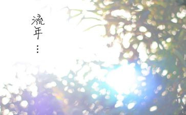 物流年终工作总结通用6篇