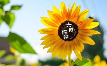 六月生产月安全心得体会7篇