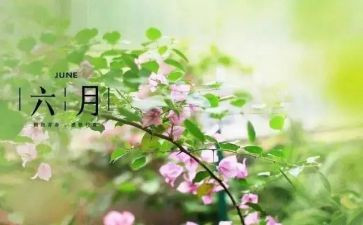六月份班主任工作总结8篇