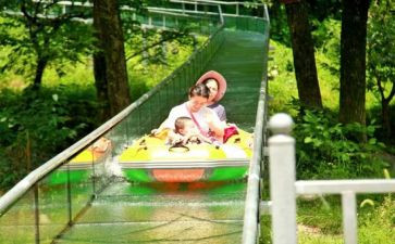 小葱头历险记读后感推荐8篇