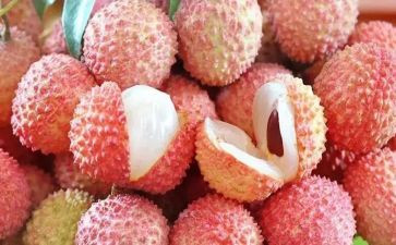《长安的荔枝》读后感5篇