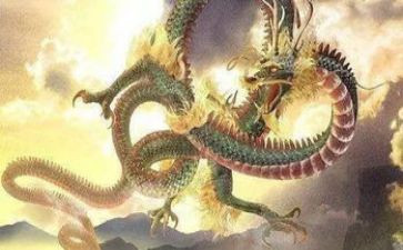 划龙舟赛作文精选6篇