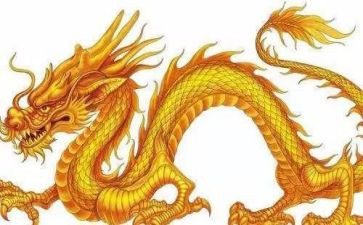 赵子龙演讲稿最新6篇