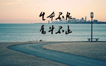 努力过演讲稿模板8篇