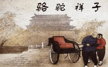 骆驼翔子读后感6篇