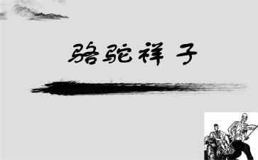 骆驼翔子读后感最新5篇