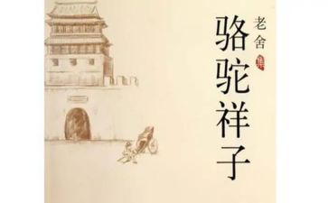 骆驼翔子读后感优秀6篇