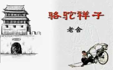 卖骆驼的读后感优质6篇