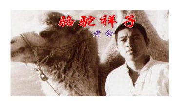 骆驼翔子读后感模板5篇