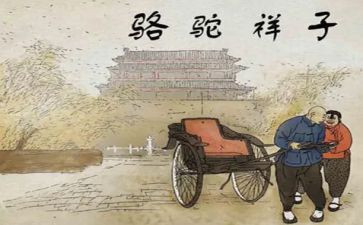 骆驼与狼作文优秀8篇