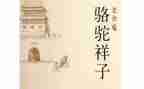骆驼作文600字模板8篇
