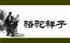 骆驼与狼作文精选6篇