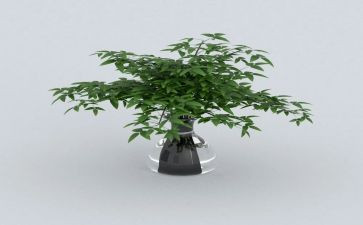 园林绿化处工作计划6篇