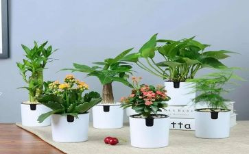 园林绿化所工作总结6篇