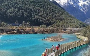 旅游的调研报告模板6篇