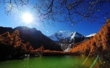 疫后旅游调查报告6篇