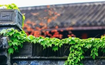 傲慢读后感5篇