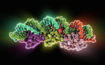 酶教学反思最新7篇