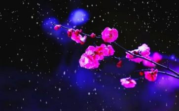 又见梅花开作文7篇