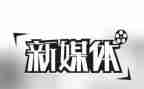 2024年融媒体工作总结最新7篇